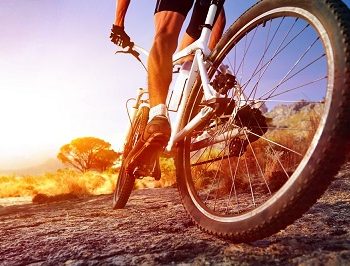 Use Cycling to Lose Weight Quickly