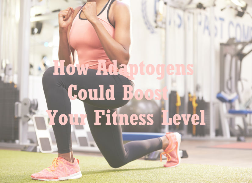 About Adaptogens and fitness